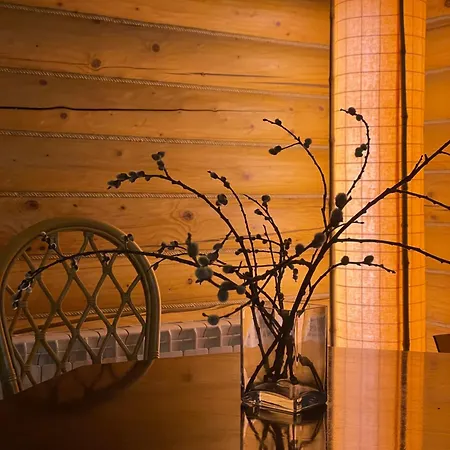 Bukovynskiy Zatyshok Boekovel