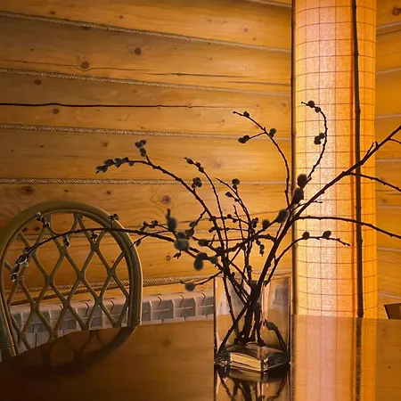 Bukovynskiy Zatyshok 3*